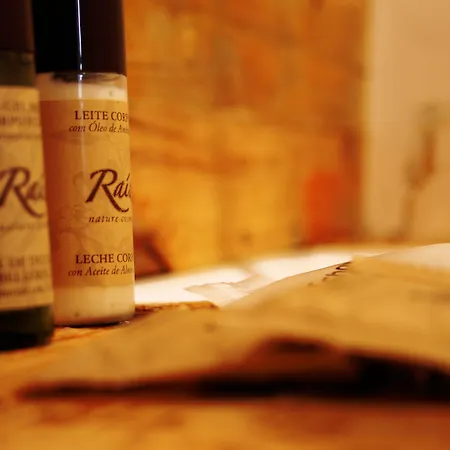 Hotel The Literary Man